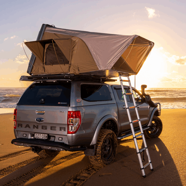 Cort auto ARB hardshell esperance