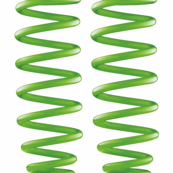 Set 2 arcuri elicoidale FATA 0-100 kg lift 4"